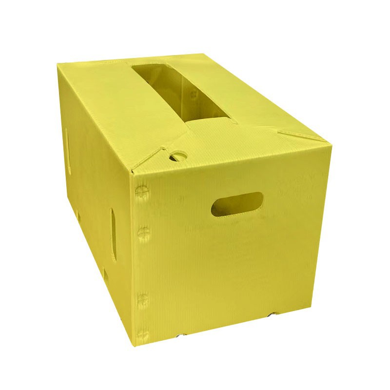 Plastic Pp Box factory